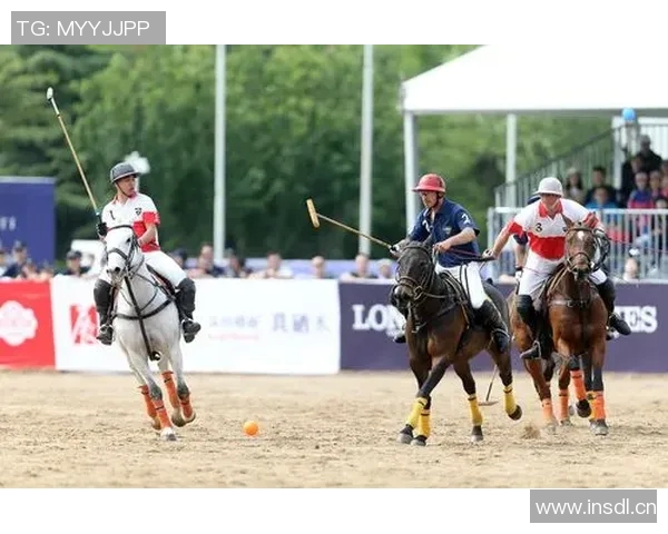 耐高联赛精彩纷呈各路高手齐聚一堂争夺荣耀与梦想 耐高联赛精彩纷呈各路高手齐聚一堂争夺荣耀与梦想